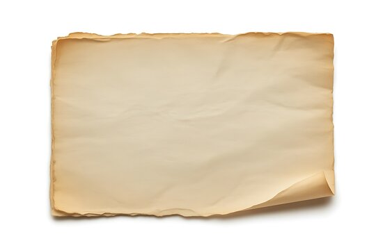A single sheet of aged parchment paper with torn edges and a curled corner on white background