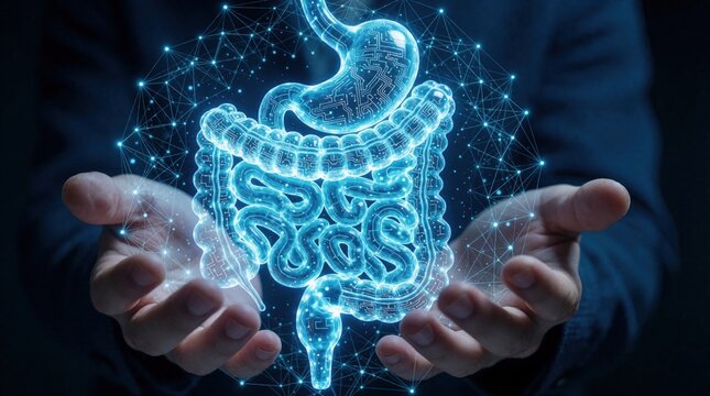 Human hands hold glowing blue digestive system model. Blueprint network connects internal organs. Science, technology merge with human body. Dark background highlights digital anatomy visualization.