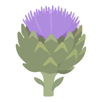 Hand-traced vector illustration of a blooming artichoke flower icon with layered green bracts and vibrant purple petals, isolated botanical design for graphic resources