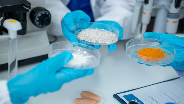 Gloved hands hold petri dishes with different samples during laboratory testing.