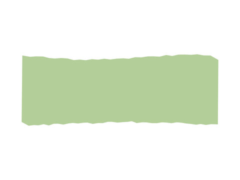 A light sage green torn paper strip isolated on a clean white background