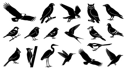 Naklejka premium Detailed Bird Silhouette Collection with Eagle Owl Crane Blue Jay Cardinal Hummingbird and Songbirds for Nature Wildlife Graphic Designs and Logos