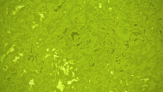 Abstract green fluid background with swirling liquid motion