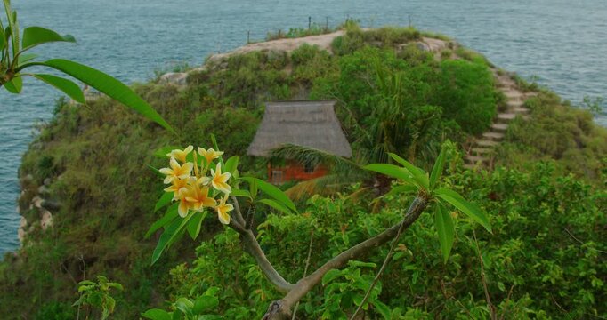 Tropical Frangipani flowers with background of stone stairs leading to wooden hut and ocean view in Nusa Penida Indonesia