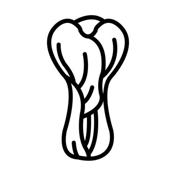 Bok choy