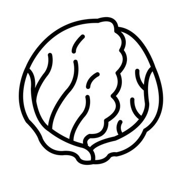 Lettuce