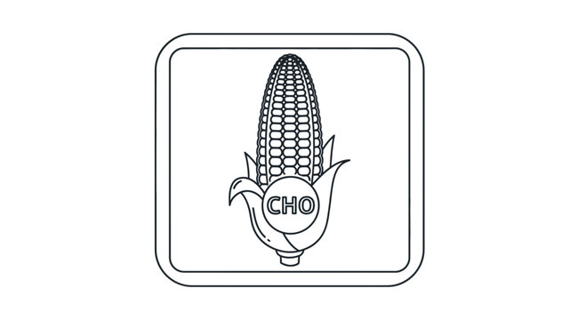 corn icon with cho label