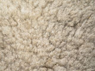 Japan - August 17, 2026: Closeup of wool or fleece of a live sheep  © Khun Ta