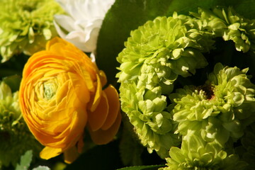 bouquet of flowers for valentine's day in france  © frdric