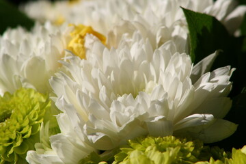 bouquet of flowers for valentine's day in france  © frdric