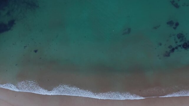 Aerial top down drone view of a seagull flying over the clear turquoise water and gentle waves of A Lanzada beach in Galicia Spain