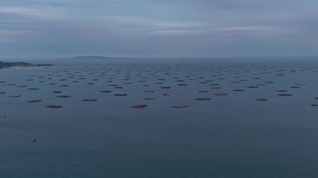 Mussel farming rafts spread across a calm ria with distant islands at dusk in Galicia Spain