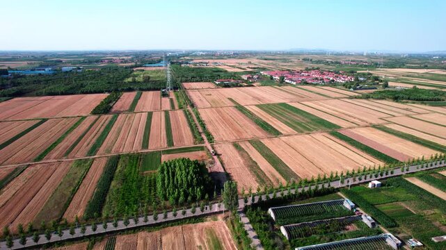 Aerial perspective of orderly patchwork farmland, rural roads, greenhouses and scattered settlements under clear sky.