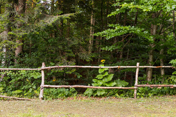 Fototapeta premium Rustic wooden fence with a single sunflower and forest backdrop for countryside background and banner design