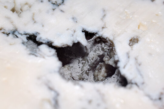 Close-up view of creamy gorgonzola blue cheese texture highlighting mold veins and cavernous structure