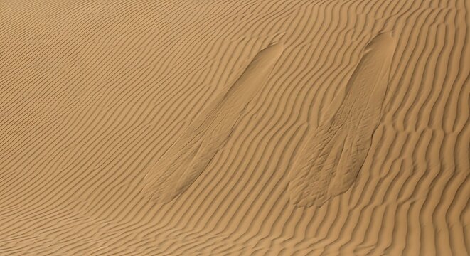 Sand Dunes Wind Patterns Slip Face Avalanche Patterns