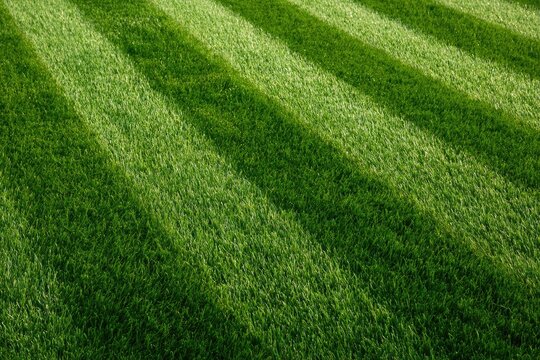 Perfectly manicured green grass with distinct light and shadow stripes