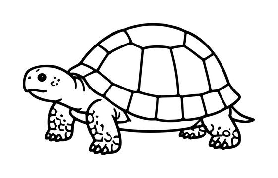 Hand drawn black and white tortoise vector icon illustration with detailed shell pattern for coloring books and educational wildlife materials