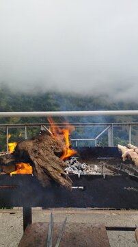 Barbecue on the fire. Delicious shashlik meat grilling on skewers over hot coals. Grilled shish kebab. Barbecue in the smoke
