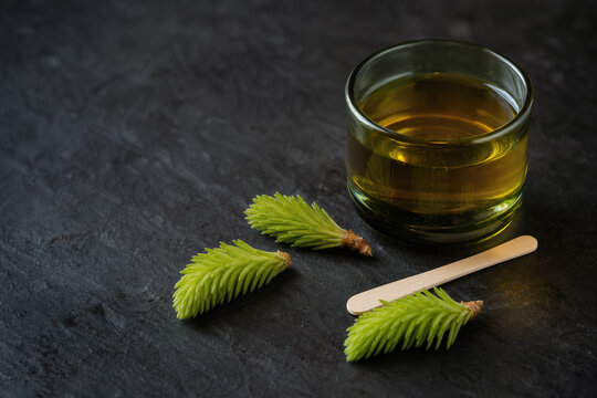 Sirop de pousses d&rsquo;&eacute;pic&eacute;a sur verre forestier sombre