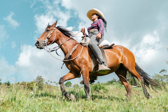 Cowgirl riding horse in green field under blue sky