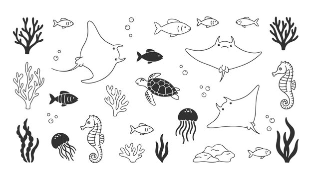Educational line art drawing set containing underwater animals like manta rays, turtles, fish, seahorses, jellyfish, and corals.