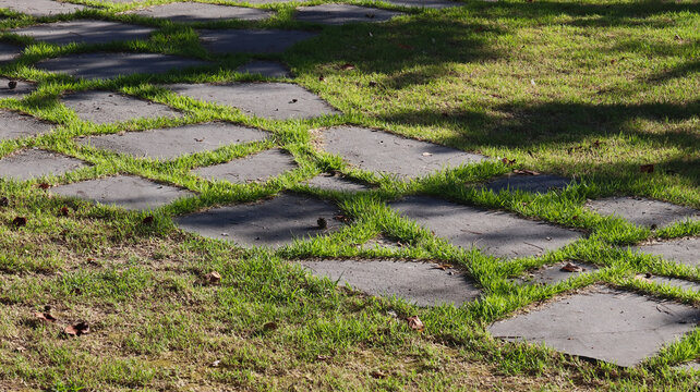 Zigzag Stepping Stone Path with Green Grass and Dappled Shadows in a Garden Landscape