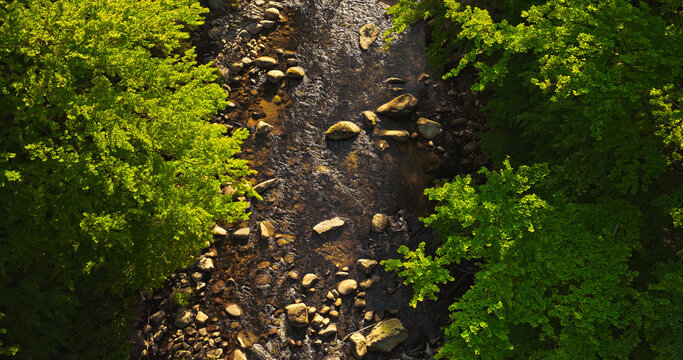 Aerial top-down view of a winding river flowing through a lush green forest. Scenic wilderness landscape with rocks and trees, perfect for nature, travel and environmental concepts.
