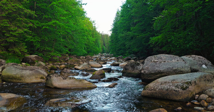 Scenic mountain river flowing through a dense green forest with large rocks and clear water. Peaceful wilderness landscape captured during spring, ideal for nature and travel themes.