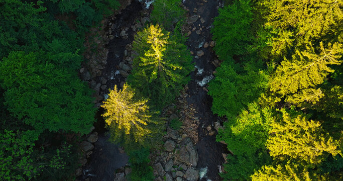 Aerial top-down view of a winding river flowing through a lush green forest. Scenic wilderness landscape with rocks and trees, perfect for nature, travel and environmental concepts.