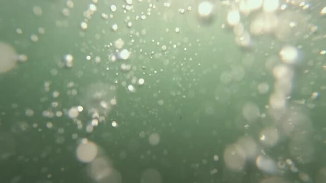 Many sparkling air bubbles floating and moving upwards through the dense green water, creating an abstract background texture