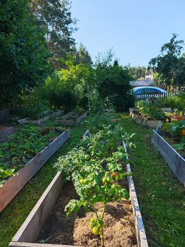 plank garden bed, dacha, eco-friendly products, organic farming, country living, hobby