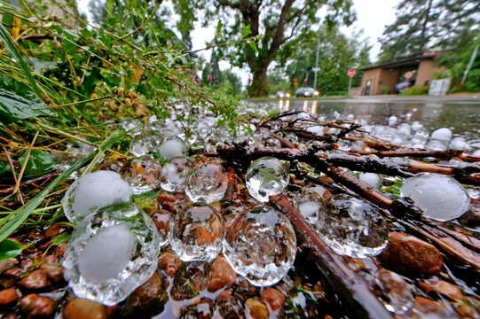 Hailstones covering ground after a severe summer storm