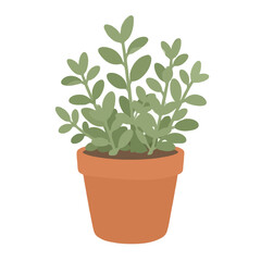 Fototapeta premium Hand-traced vector icon of a lush green herb plant growing in a classic orange terracotta pot, featuring delicate leaves and organic botanical illustration style