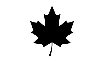 Fototapeta premium Minimalist black silhouette of a single maple leaf isolated on a clean white background