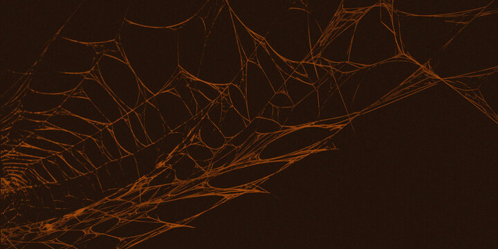 Intricate spider web pattern in orange on a dark background