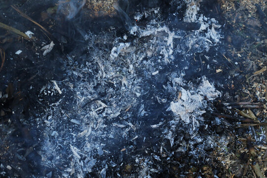 burned wood, ashes and smoke