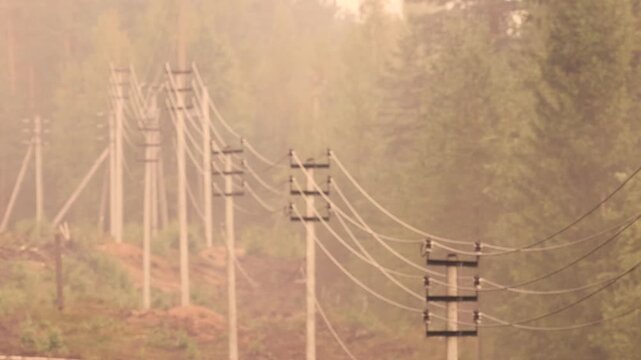 Row of wooden electric power line poles stretching through dense pine forest, engulfed in thick orange smoky haze from a distant raging wildfire, dramatic hazy environmental crisis daylight footage