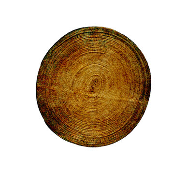 cross section of tree trunk, coiled brown jute mat photo - round golden amber braided fiber rug