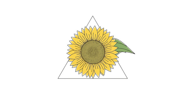 sunflower in triangle