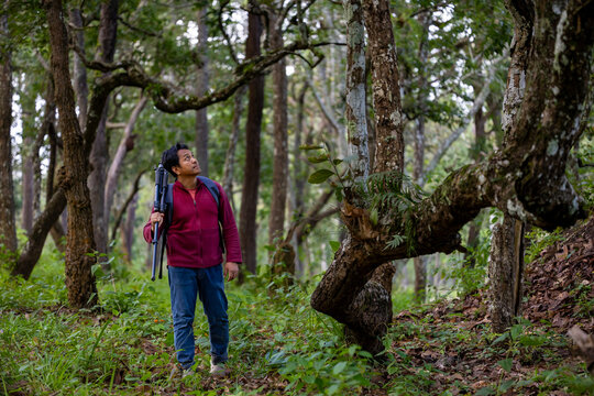 Asian hiker is caring camera gear while exploring in the cloud forest for surveying and discovering the rare biological diversity and ecologist on the field study