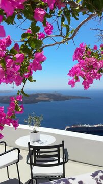White architecture in Santorini island, Greece. Beautiful terrace with blooming pink flowers. Blue sea and the blue sky at sunny day. Travel and summer vacation concept. Vertical video
