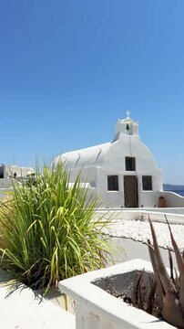 White architecture in Santorini island, Greece. Traditional greek church in Oia town. Green plants in the foreground. Travel and summer vacation concept. Vertical video
