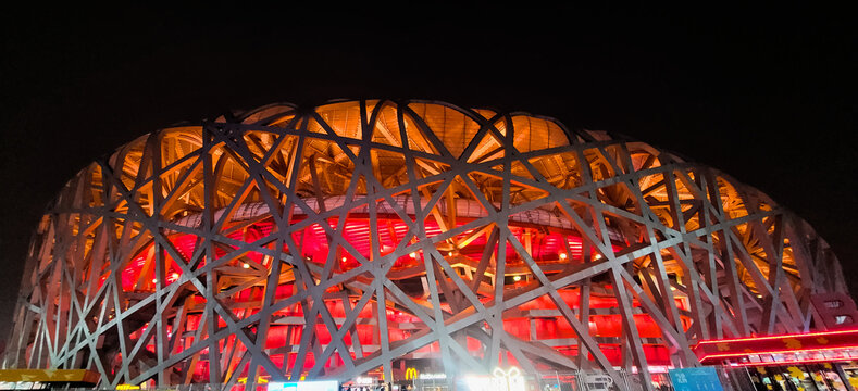 Bird's nest stadium