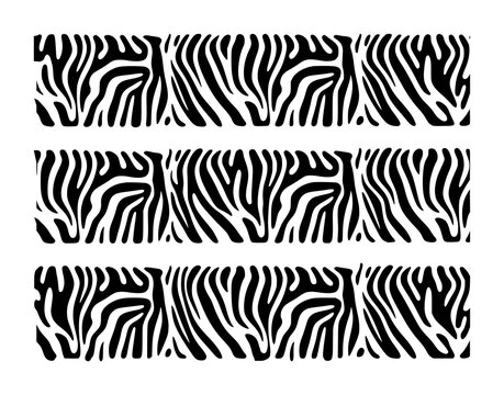 Seamless zebra print pattern with three horizontal black and white animal skin stripes on a white background