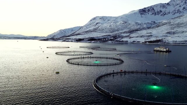 Polar night drone view of salmon farm marine pens in fjord with snowy mountains