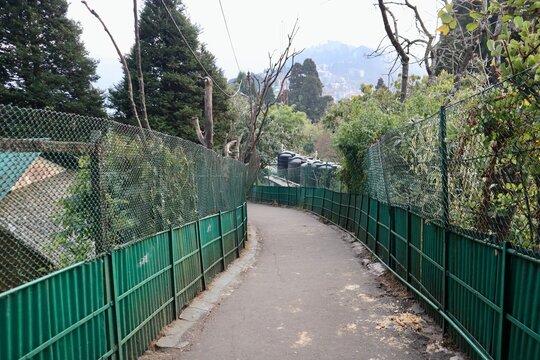 インド　ダージリン　寺院の参道