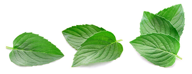 Mint leaves collection isolated on white background. Green fresh leaves set with clipping path © Maks Peoplenko