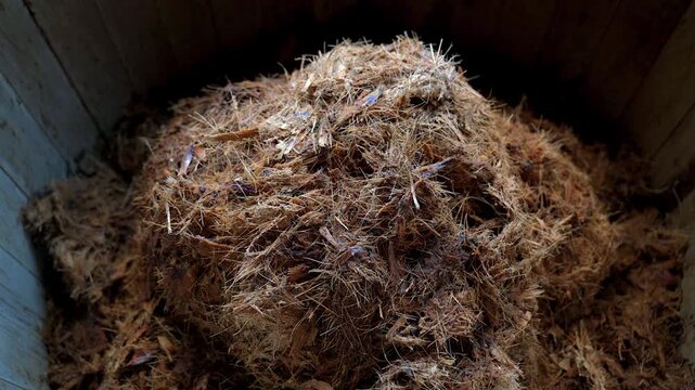 Slow push in close up shot of crushed cooked agave fibers inside a traditional wooden fermentation vat at a artisanal mezcal distillery in Mexico.