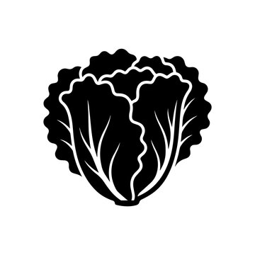 Black silhouette of a whole head of fresh lettuce with ruffled leaves, isolated on a white background, flat